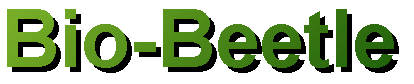 BIO-BEETLE ECO rental Cars