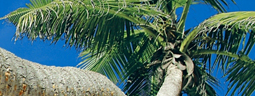 maui travel planning