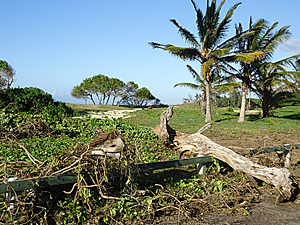 2011 Hawaii Tsunami